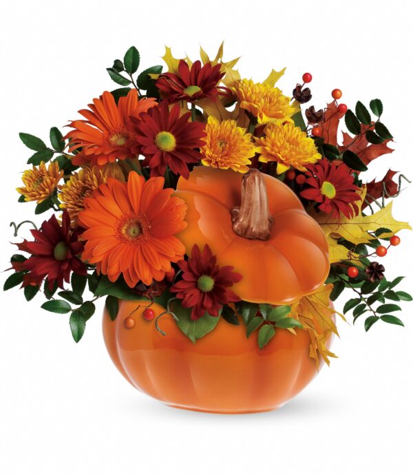 Country Pumpkin T175-1A